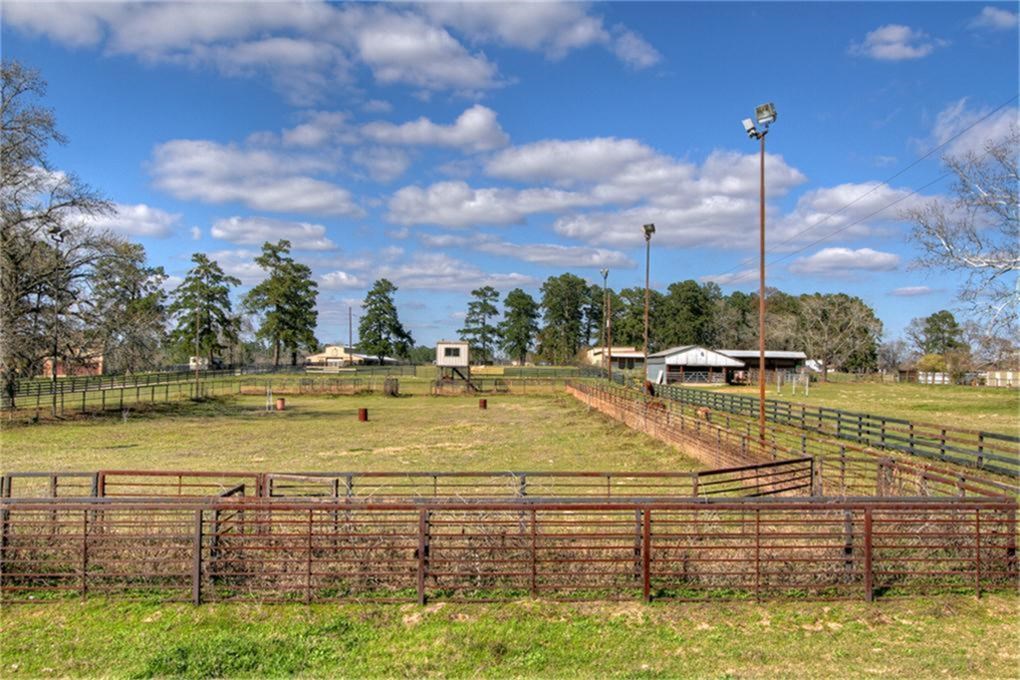 the roping arena