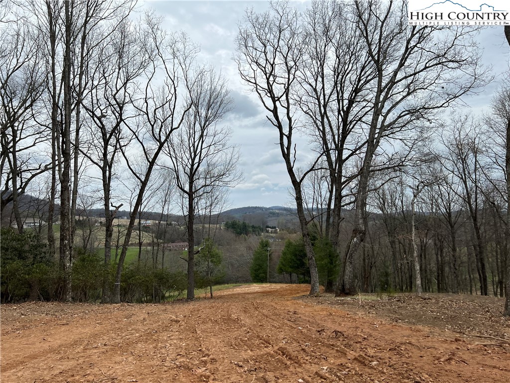 Sparta's newest subdivision within city limit's. Built your dream home in the beautiful Town of Sparta. Lot is convenient to downtown Sparta, amazing shopping, great schools, the town park is around the block and right down the road is the Little River.