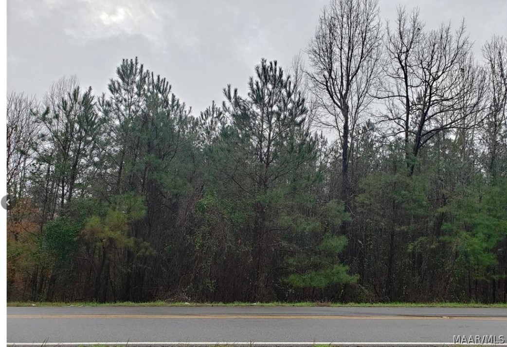 If you are looking for the perfect place to build your dream home, then look no further! This beautiful lot is 2.35 acres and is part of the prestigious Burton Manor Subdivision.  The large peaceful property gently slopes and boasts a picturesque landscape of tress and greenery.  Property has water, electric, and cable available. It is located right across the street from the popular Autauga Academy.  Just 5 minutes from historical downtown Prattville. Dont miss this opportunity.