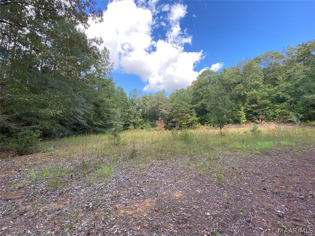 This would make a great residential building lot for a home or hunting cabin, even a mobile home. Has trees and a cleared area for building. There are two possible driveway entrances.