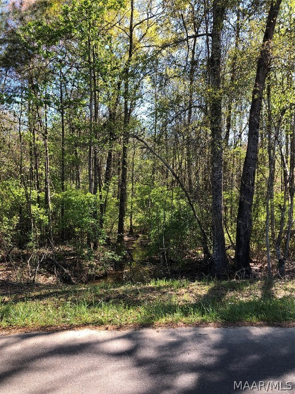 2.6 wooded acres.  Many options for use of this land.  Creek/spring runs through the property.