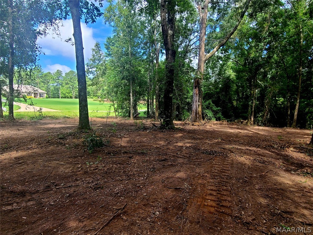 2 lots totaling 6+/- acres in the Holtville School District close to Lake Jordan and minutes to Holtville Schools! This property is surrounded by beautiful home sites in the popular Shady Nook area! Land in Holtville is getting harder to find. Bring your builder and tour this property today!