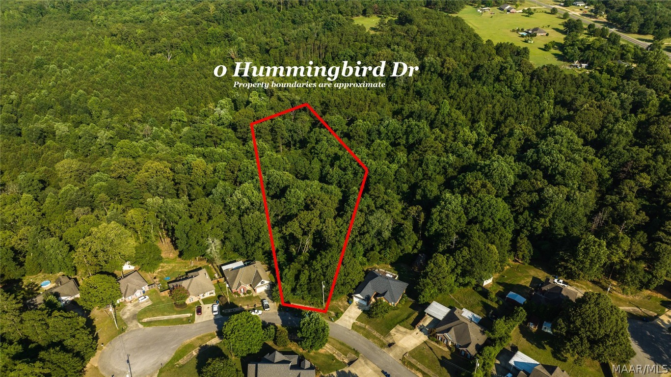 2.62 acre lot in the Pine Level/Marbury School District.  This large lot is located in the well established Hummingbird Place subdivision convenient to the interstate, Prattville and the rapidly growing Pine Level area.  Bring your builder, your plans and your imagination and make this your new home site!