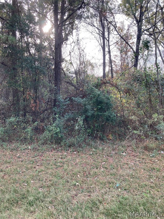 Large, wooded commercial lot with 425' of road frontage on Hwy 31. Approximately 3.5 acres.