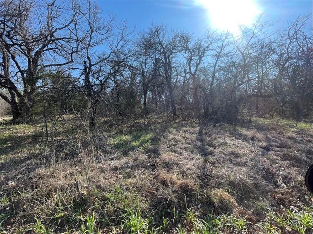 12200 SE 38th, Choctaw, OK 73020 view of local wilderness