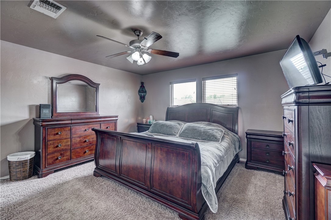 9533 SW 25th Street, Oklahoma City, OK 73128 bedroom with a ceiling fan, carpet, natural light, and TV