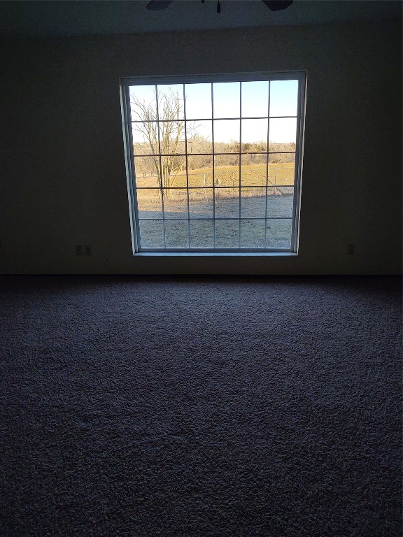 1240 COUNTY Road, Carnegie, OK 73015 carpeted empty room with a wealth of natural light and ceiling fan