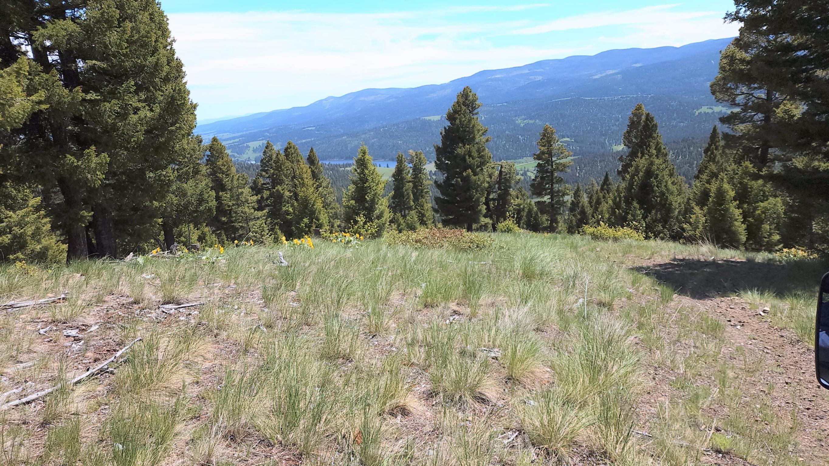 Beautiful Views overlooking Nevada Creek Dam and wildlife.  This 170 +/- acres boarders Forest Service.  Call Dan Senecal at 406-439-5414, or your real estate professional.