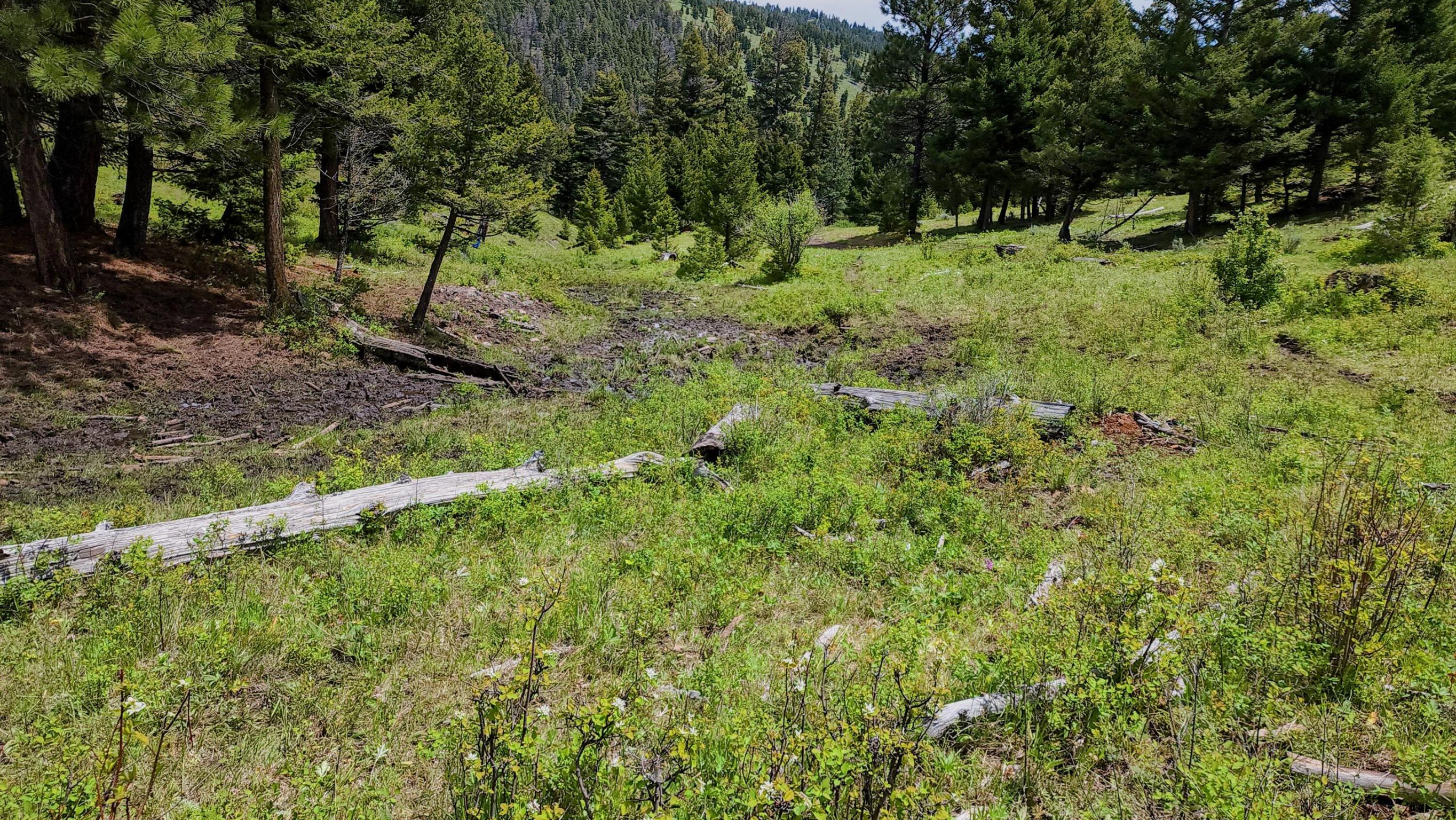 Seasonal Springs, Views for Miles, Horses welcome, Boarders Forest Service and Nature Conservancy. Newly built road right to property.   Call Dan Senecal at 406-439-5414, Cortney Senecal at 406-439-7557 or your real estate professional.