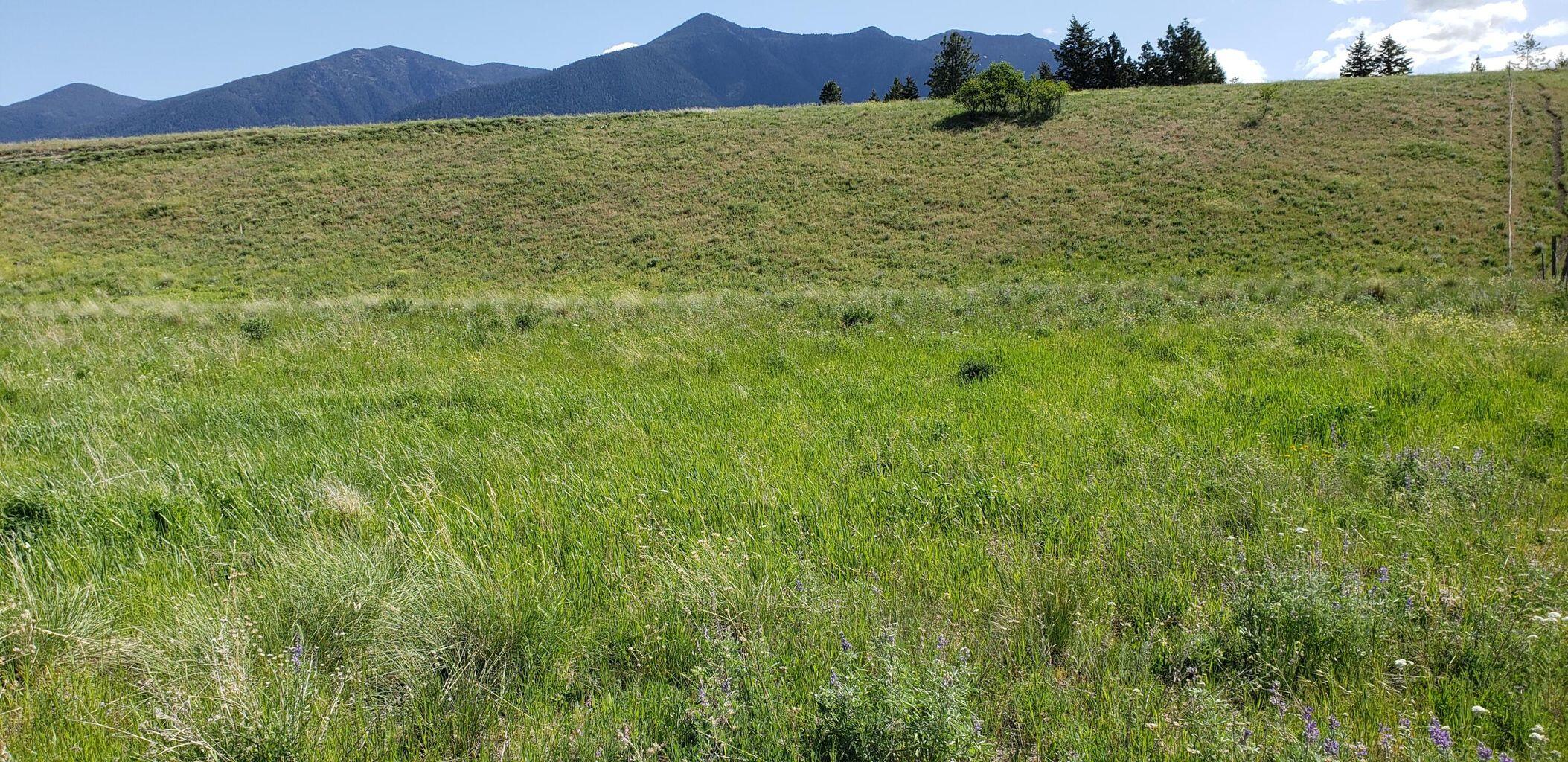Lot 8 Little Country Rd. Subdivision, Eureka, MT 59917