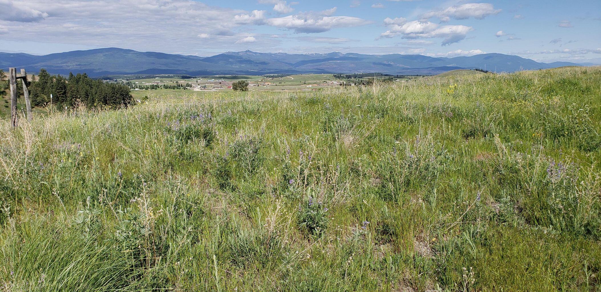 Lot 9 Little Country Rd. Subdivision, Eureka, MT 59917