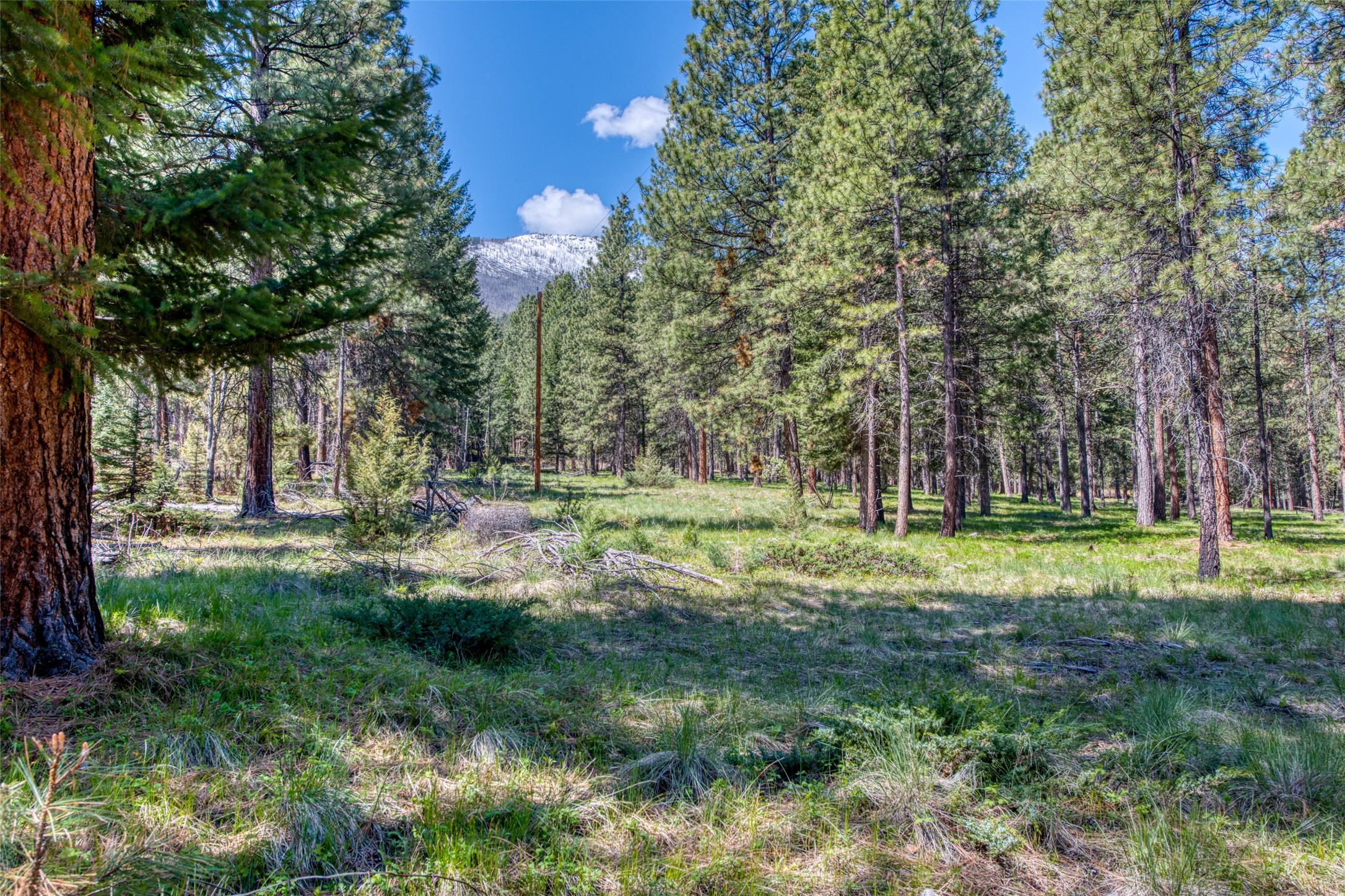 A rare chance to own 10 acres of West side Bitterroot land. Less than ten minutes to town and accessible year round, this property sits along a private road. The acreage is gently sloping with large ponderosa pines, native wildflowers and abundant wildlife. In the north west corner is a charming homestead cabin as a fun project or just appreciate it's history. These parcels, so close to Hamilton are a rare find! Build your own Montana dream home! *This is not a drive by property. Very private road. Please contact listing agent, Claire Kemp 406-531-7909 or your real estate professional of your choice for a showing. Seller is licensed real estate agent in the state of Montana.