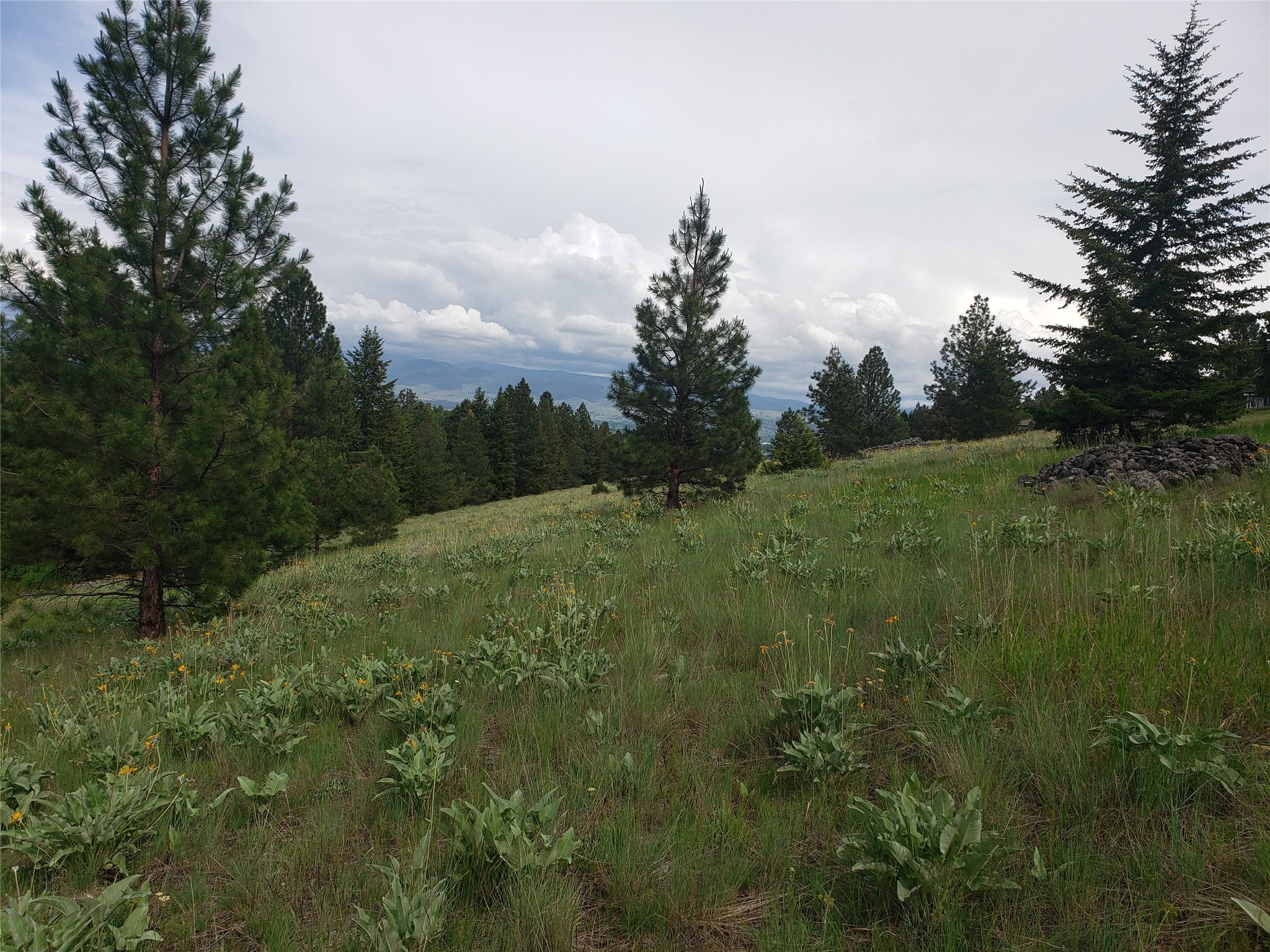 Just west of Hamilton off Oertli Road and below West Hills Way subdivision. An ideal location near town for multiple daylight basement homesites, subject to being approved by Ravalli County. A mix of views & privacy. The parcel is long east/west and narrower. A rare find & possible opportunity!