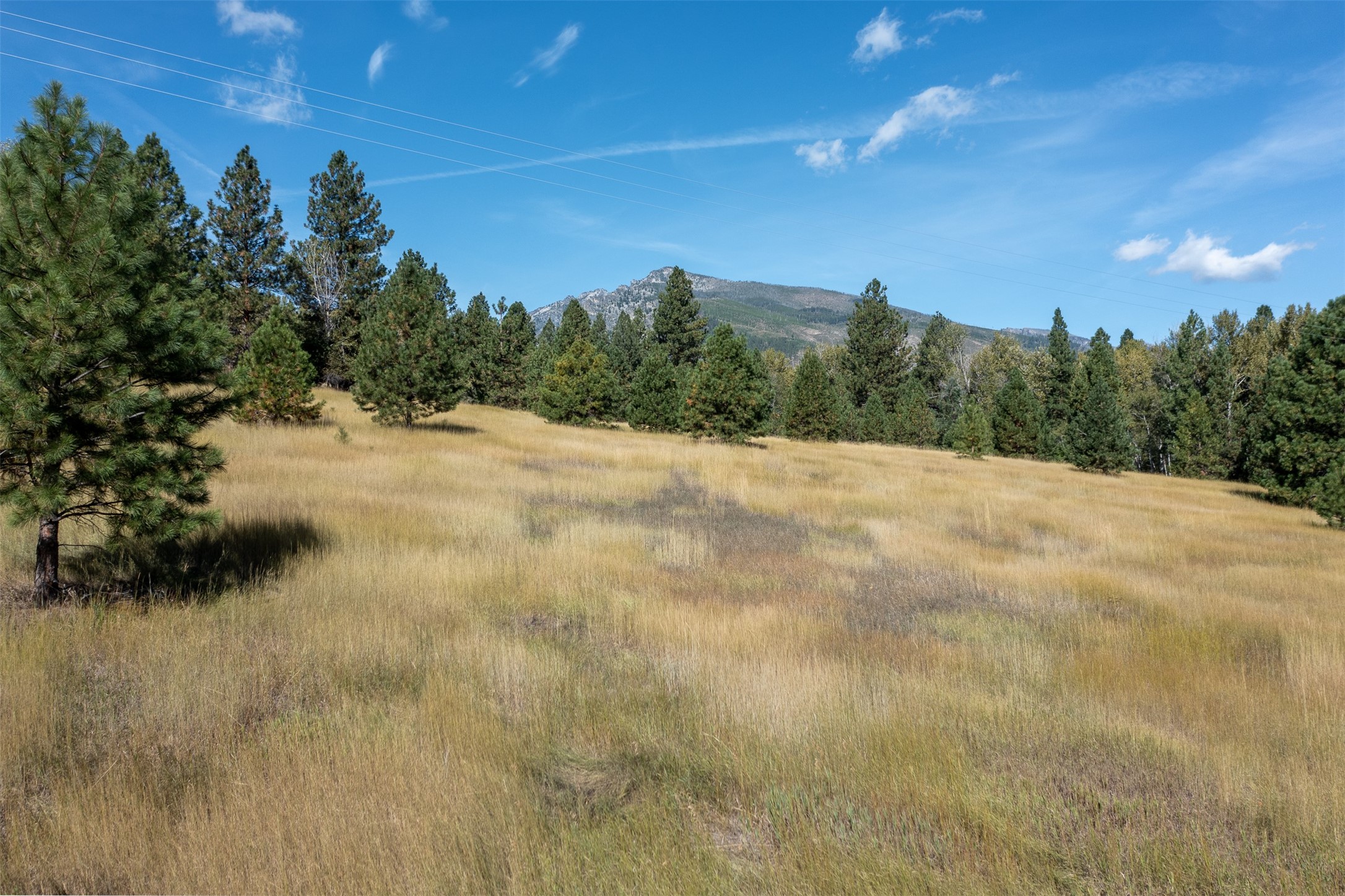 One of a kind property, stunning views, varied property with trees, meadow, and close to town. You will have many choices where to build and beautiful variety of trees.  Electricity available. There is an irrigation ditch through the property.