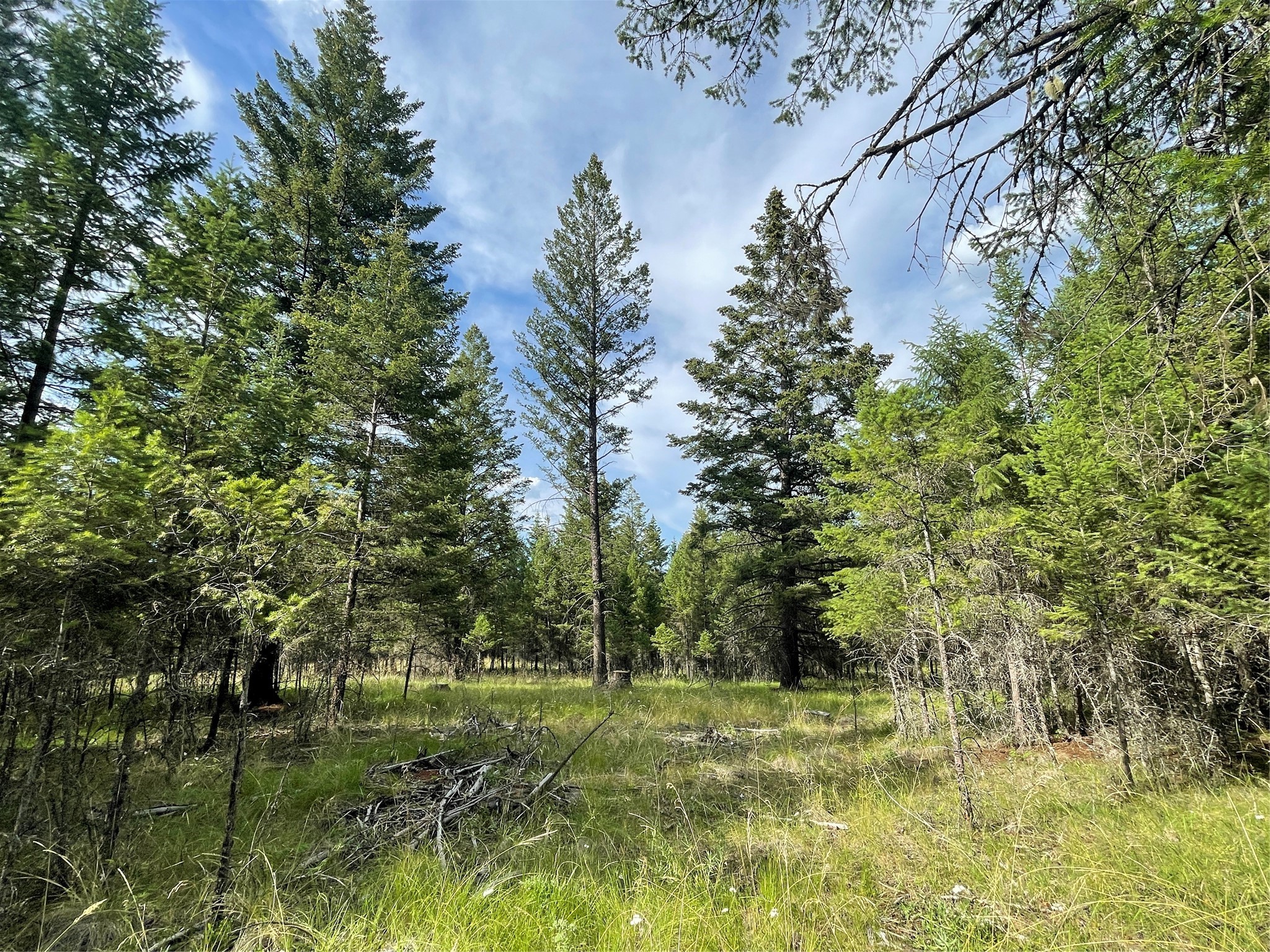 Discover 68.32 wooded acres in Fortine, MT—only 35 minutes from Whitefish and a short 12-minute drive from Eureka. Embrace nature's beauty on this vast, wooded property, offering the perfect blend of seclusion and accessibility. Call Rick @ 406-249-3109 or your real estate professional TODAY!!!