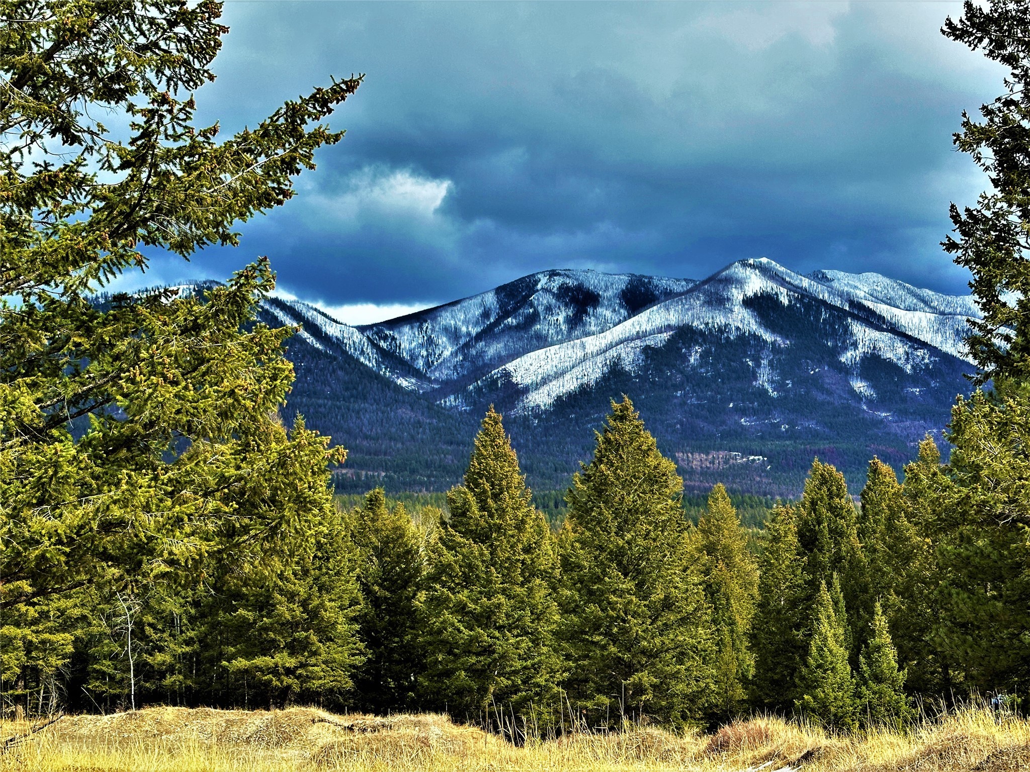 Uncover 86.05 acres of pristine land in Fortine, MT, boasting awe-inspiring mountain views. Just a 35-minute drive from Whitefish and a quick 12-minute trip from Eureka, this expansive property offers both tranquility and stunning natural vistas.Call Rick @ 406-249-3109 or your real estate professional TODAY!!!