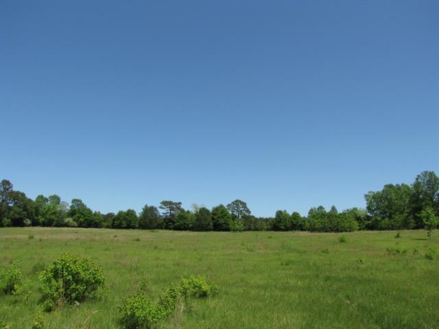 28.5 Acres with frontage on Highway 437 and Barcelona Rd. in flood zone C. Partially cleared with a pond and trees throughout. Well has been dug, no pump. Owner will consider subdividing subject to St. Tammany Parish regulations. Must have licensed realtor to walk the property.