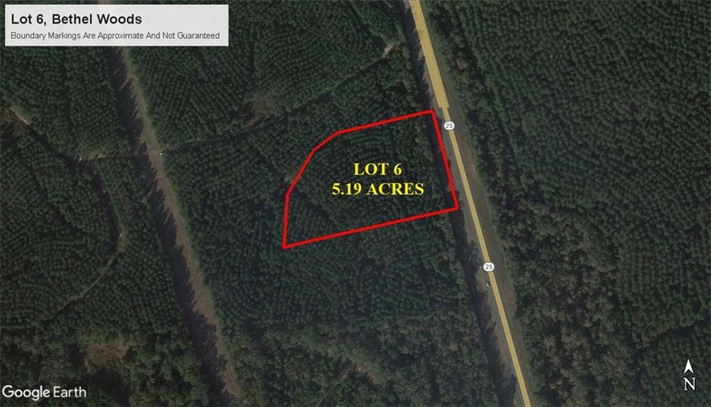 5.2 acre lot for sale in Bethel Woods subdivision. Beautiful land planted in plantation pines. Property is just south of Franklinton, appx 3 miles from Bogue Chitto State Park, and north of Folsom. Mobiles homes are not allowed and minimum square footage for homes is 1400 square feet. Additional lots available. Owner financing also available.