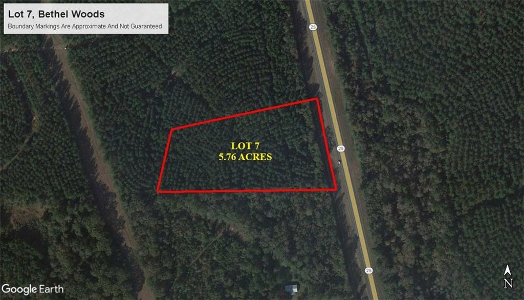 5.76 acre lot for sale in Bethel Woods subdivision. Beautiful land planted in plantation pines. Property is just south of Franklinton, appx 3 miles from Bogue Chitto State Park, and north of Folsom. Mobiles homes are not allowed and minimum square footage for homes is 1400 square feet. Additional lots available. Owner financing also available.