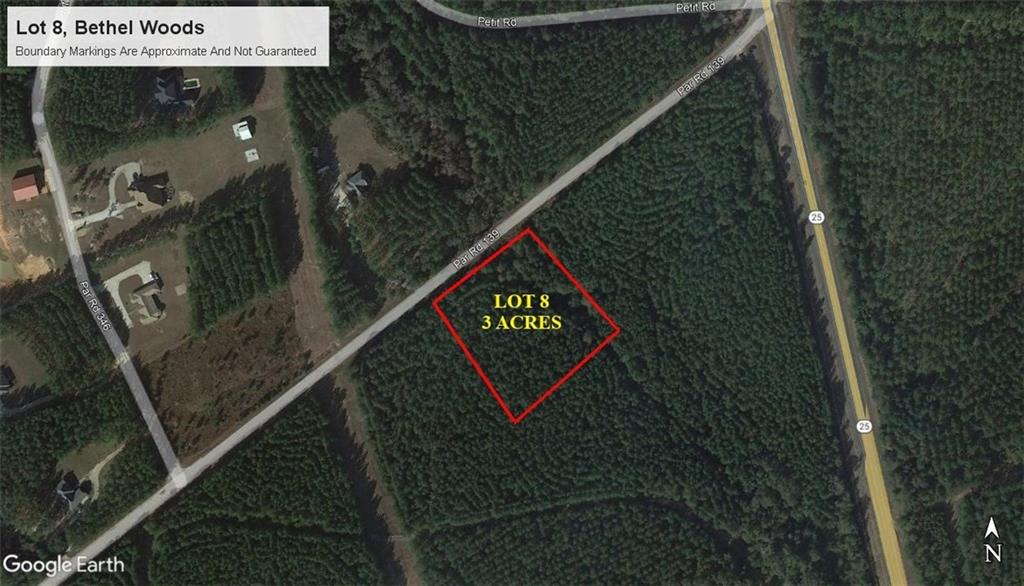 3 acre lot for sale in Bethel Woods subdivision. Beautiful land planted in plantation pines. Property is just south of Franklinton, appx 3 miles from Bogue Chitto State Park, and north of Folsom. Mobiles homes are not allowed and minimum square footage for homes is 1400 square feet. Additional lots available. Owner financing also available.