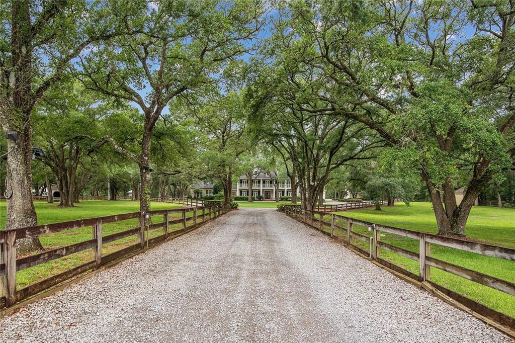 Oak lined drive invites you to this Magnificent Country custom home poised on an impeccable 8 acre setting. Gourmet open kitchen w/ double islands, entertaining areas w/ natural light flooding from the large windows & spacious primary suite w/ fireplace, study & custom walk-in-closets. Game room & 4 ensuite bdrms upstairs. Property is complete w/ in-ground pool, outdoor kitchen, courtyard, 45k generator, 2 workshops, 2 barns. Nestled in the back corner are unbelievable solar panels that will make you money.