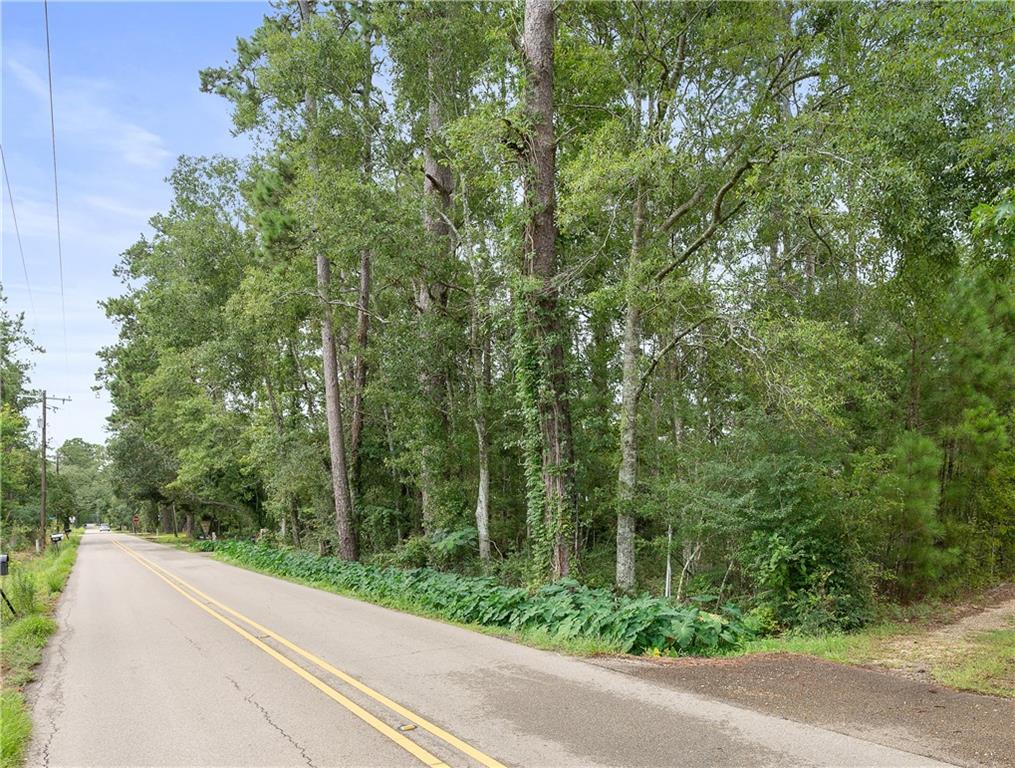 Build your dream home on this beautiful, secluded 4.27 acre wooded lot. High demand area near interstate, great schools, popular shopping centers, and restaurants. Flood Zone C!