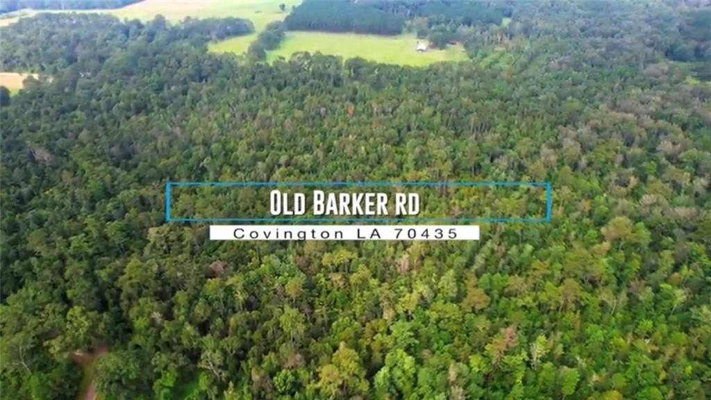 Old Barker Road, Covington, Louisiana image 1