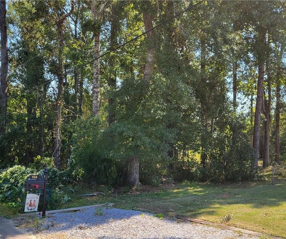 Lane Street, Mandeville, Louisiana image 1