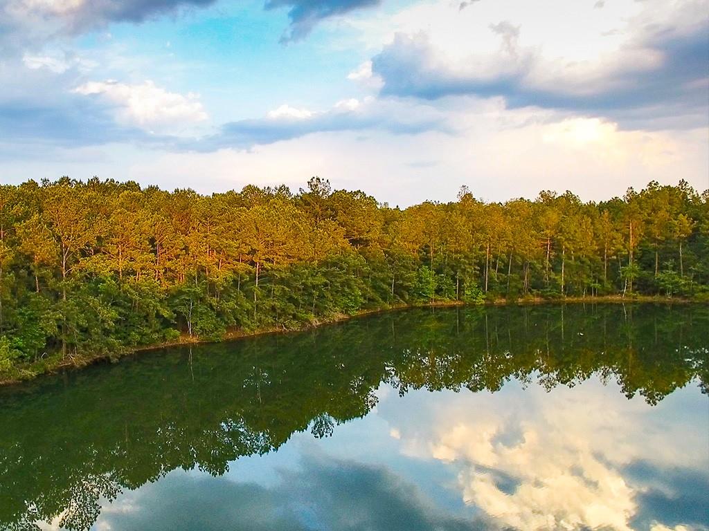 Audubon Parkway, Madisonville, Louisiana image 9