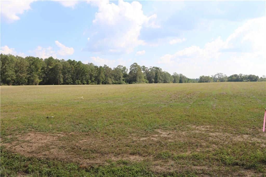 Lot 8 Peterson Road, Mount Hermon, Louisiana image 2