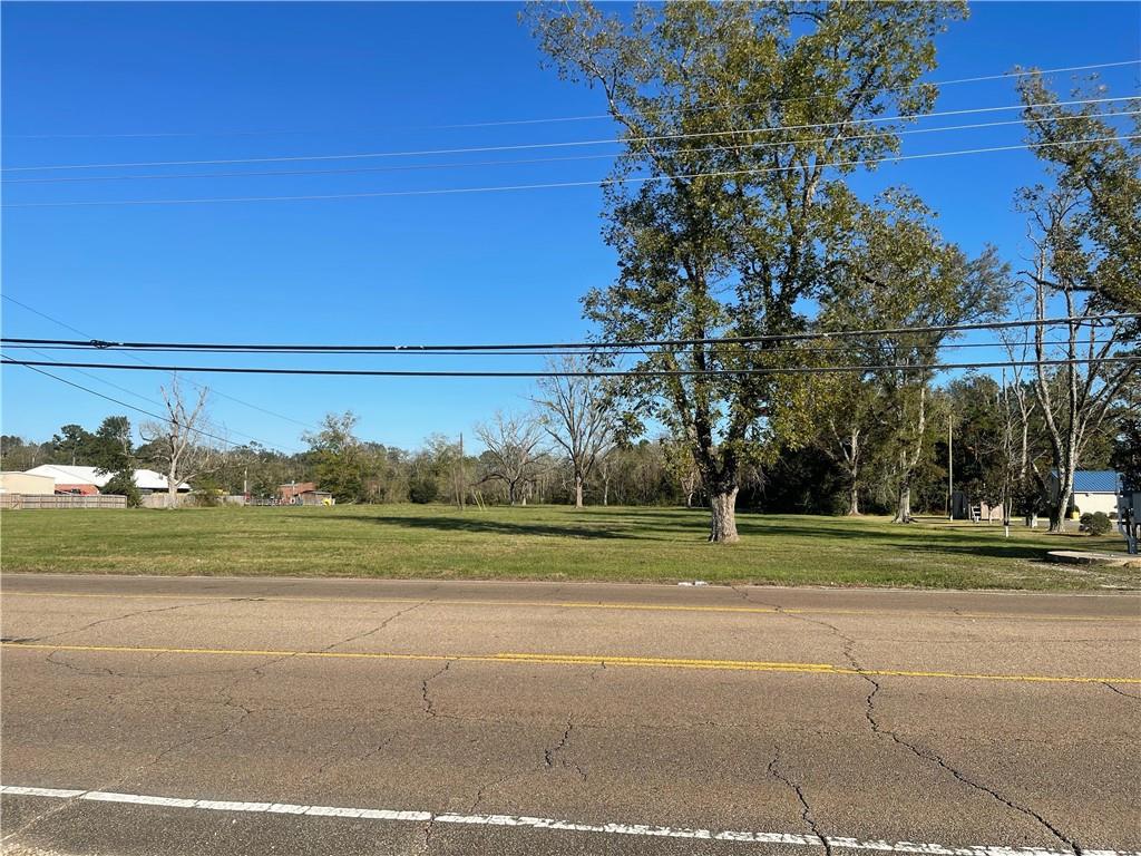 4 Acres Highway 51, Ponchatoula, LA 