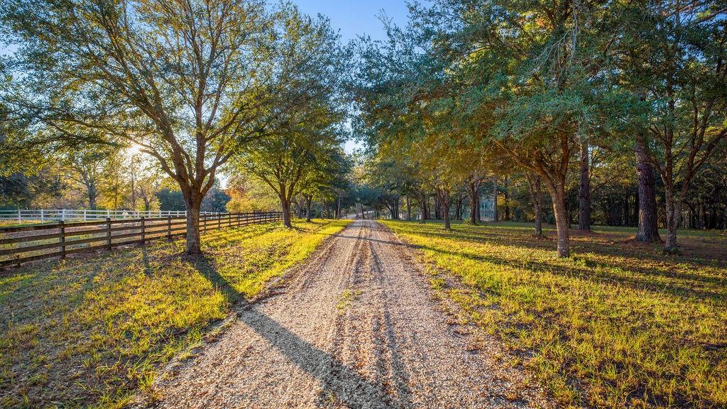 A gated meandering oak lined drive welcomes you to 35+ gently rolling acres in Chenel Farms. Charming 2 bed/1 bath cottage connects to a studio by a trellis covered walk way. All overlook a gorgeous 4 acre lake. Enjoy horse trails, natural Louisiana flora and fauna. Beautiful 2368 sq ft barn, with a half bath and office, can easily convert to a horse barn. A truly one of a kind property.