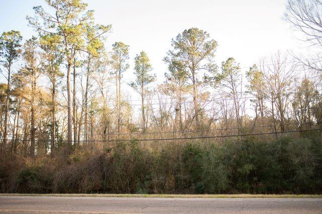 Highway 190 Highway, Livingston, Louisiana image 2