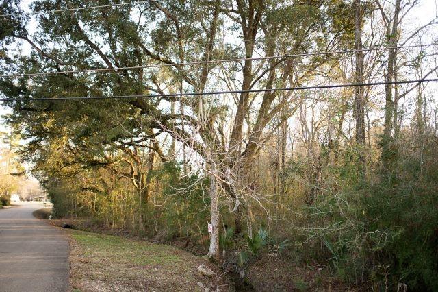 Highway 190 Highway, Livingston, Louisiana image 3