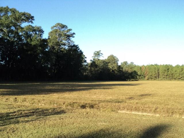 40 Acres Durbin Road, Independence, Louisiana image 2