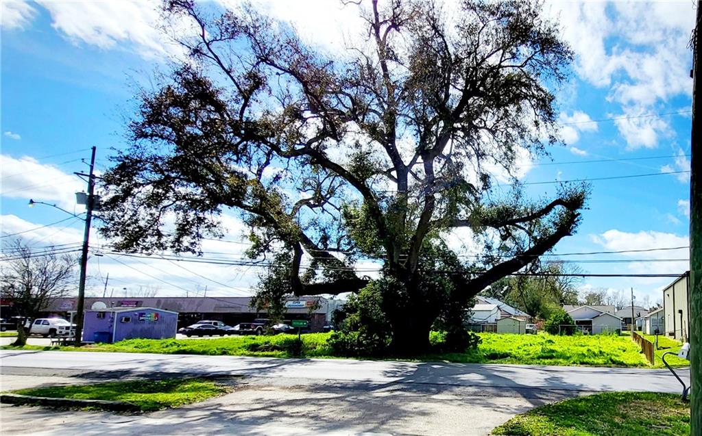 117 St. Rose Avenue, Saint Rose, Louisiana image 4