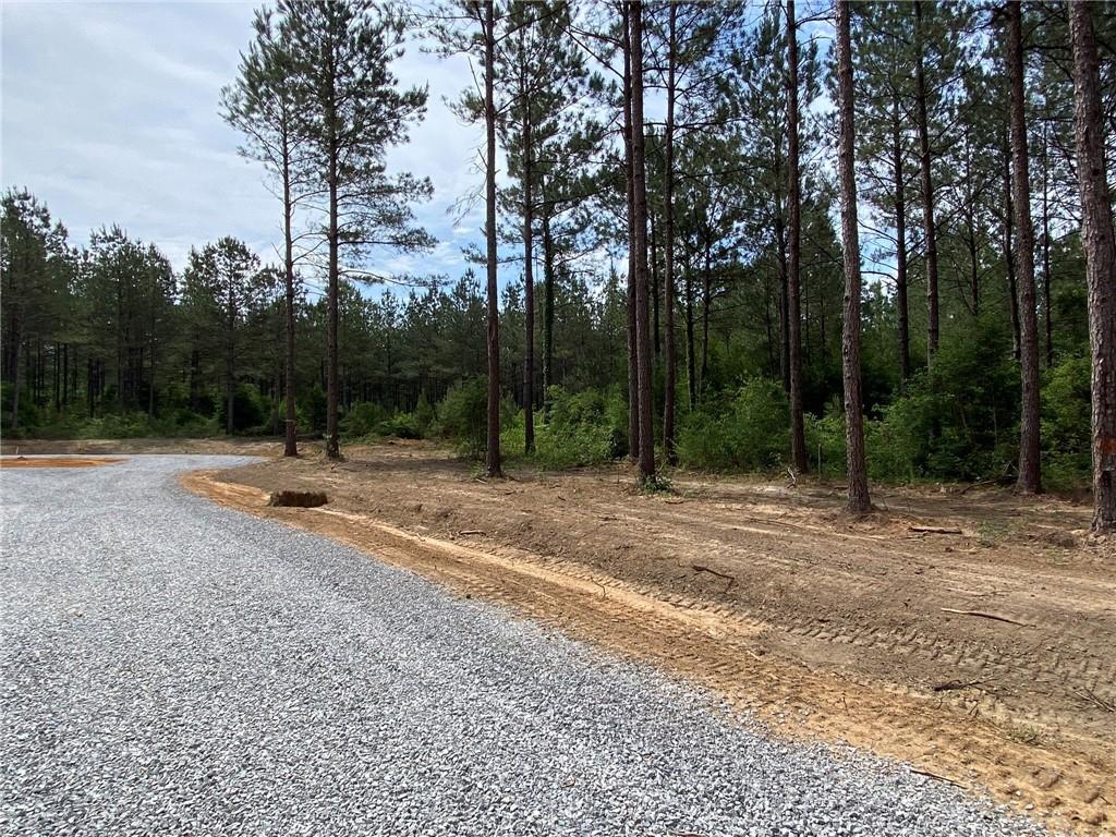 4.26 acre lot for sale in Bethel Woods subdivision. Beautiful land planted in plantation pines. Property is just south of Franklinton, appx 3 miles from Bogue Chitto State Park, and north of Folsom. Mobiles homes are not allowed and minimum square footage for homes is 1400 square feet. Additional lots available. Bond for Deed also available.
