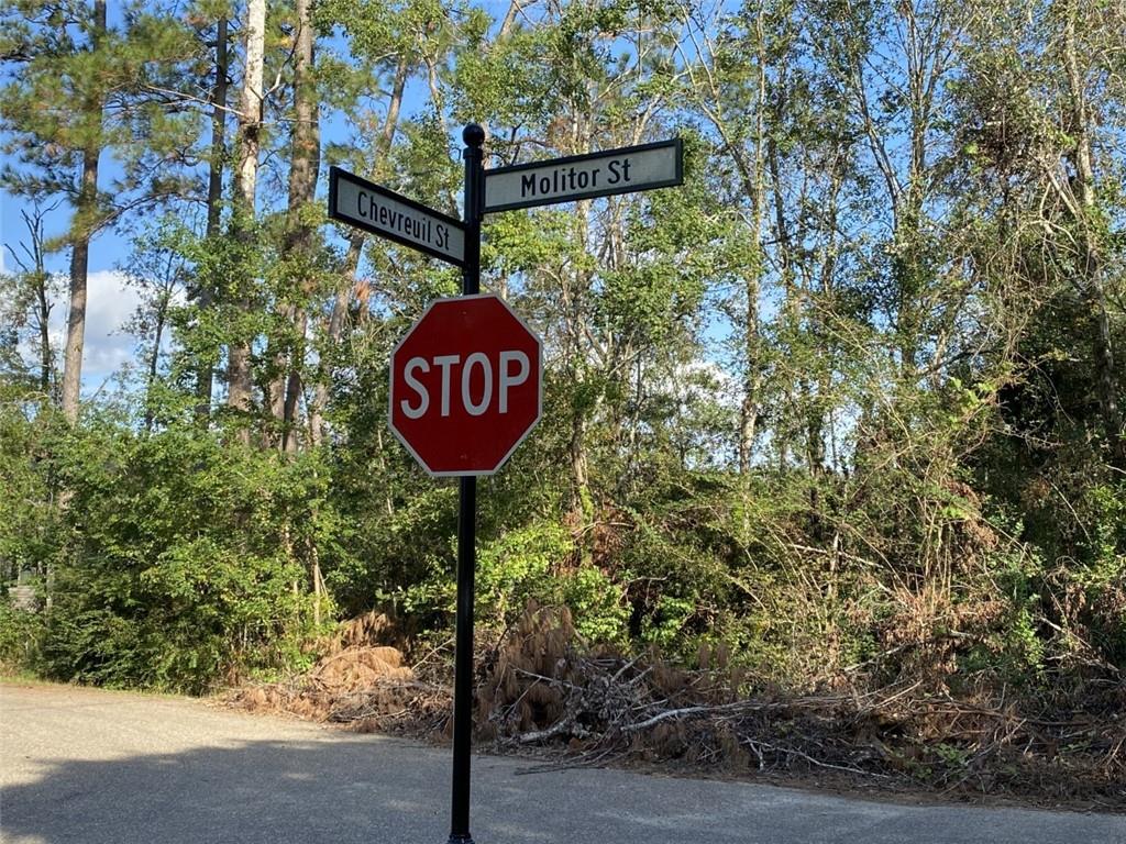 Lot 1 Chevreuil Street, Mandeville, Louisiana image 1