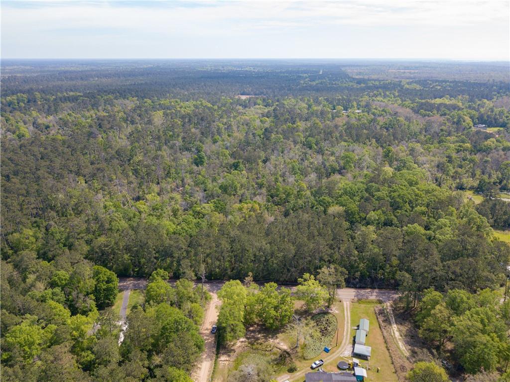 Lees Landing Road, Ponchatoula, Louisiana image 1