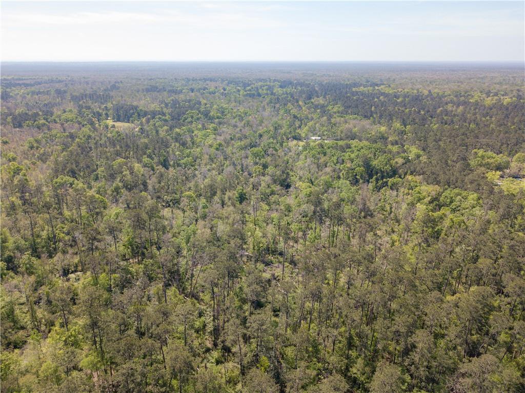 Lees Landing Road, Ponchatoula, Louisiana image 15