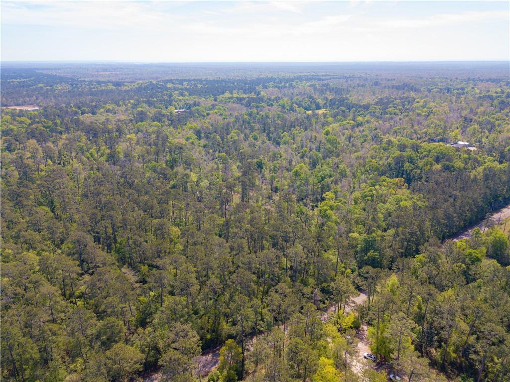 Lees Landing Road, Ponchatoula, Louisiana image 17