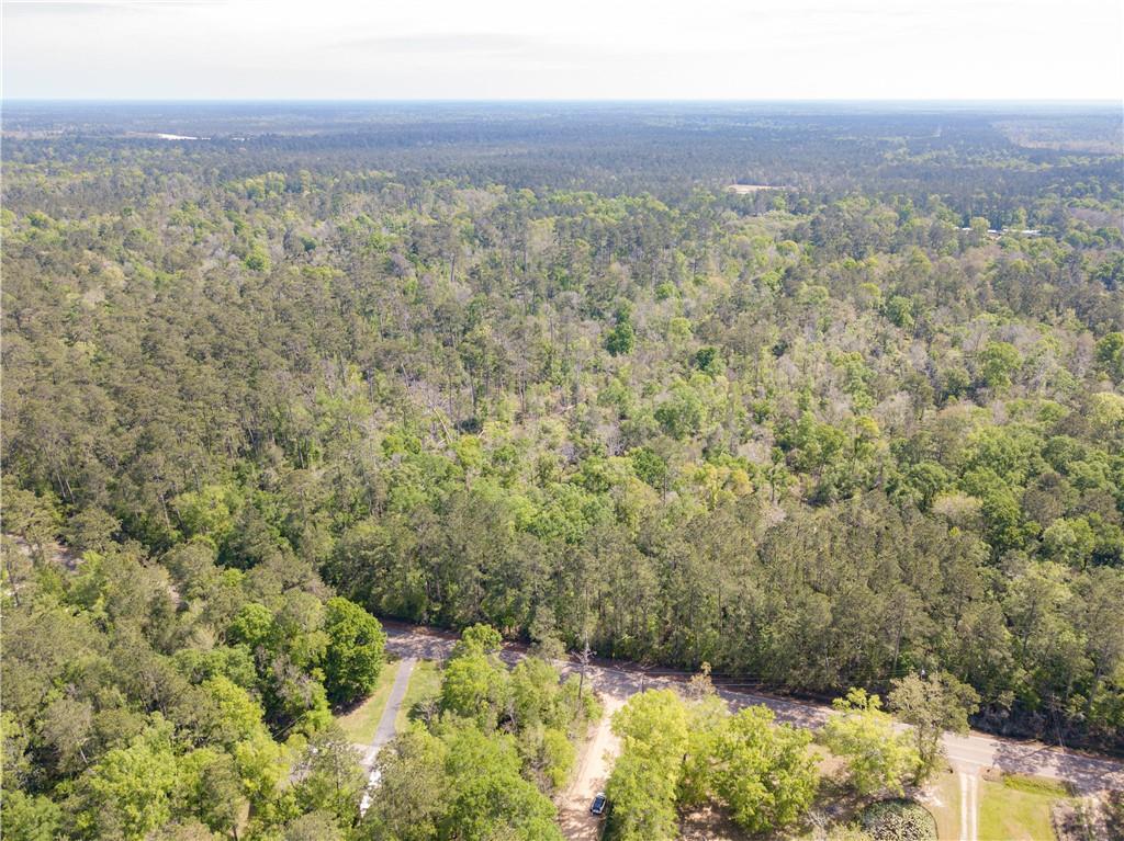 Lees Landing Road, Ponchatoula, Louisiana image 3