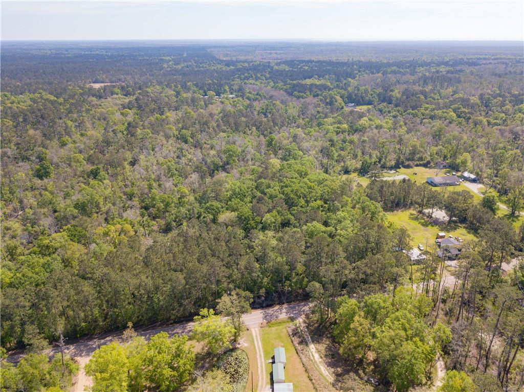 Lees Landing Road, Ponchatoula, Louisiana image 4