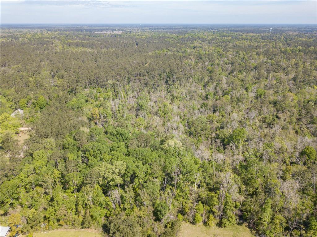 Lees Landing Road, Ponchatoula, Louisiana image 7