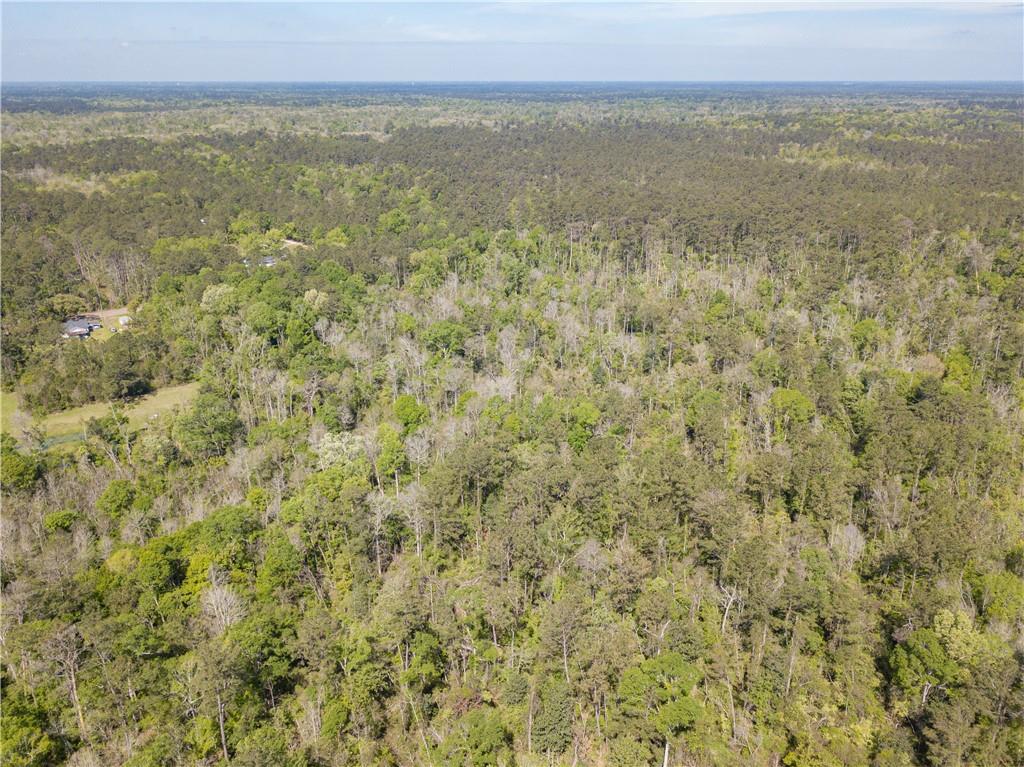 Lees Landing Road, Ponchatoula, Louisiana image 9