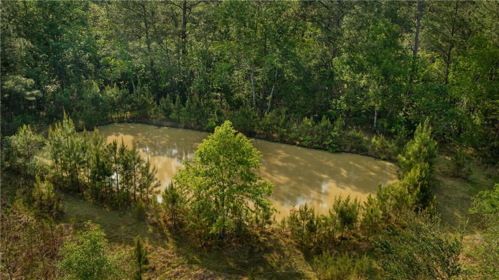 62217 Fish Hatchery Road, Lacombe, Louisiana image 21