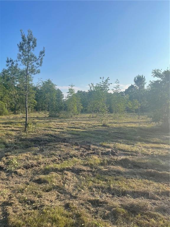 Military (highway 21) Road, Bush, Louisiana image 3