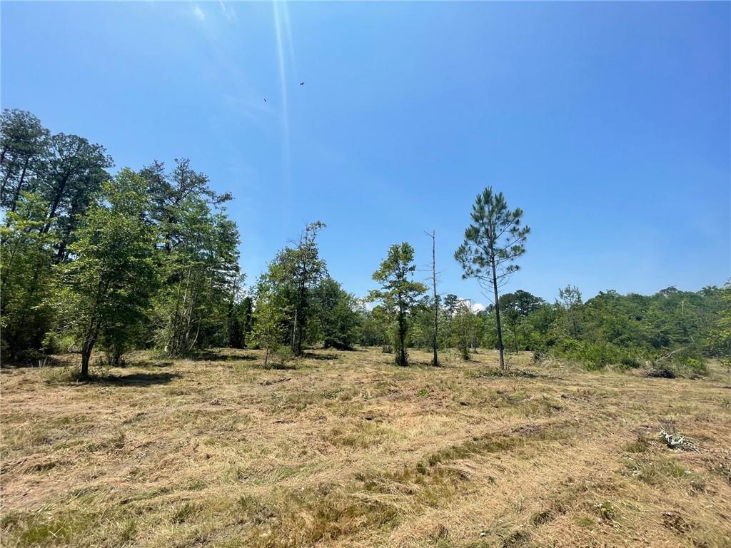 Military (highway 21) Road, Bush, Louisiana image 7