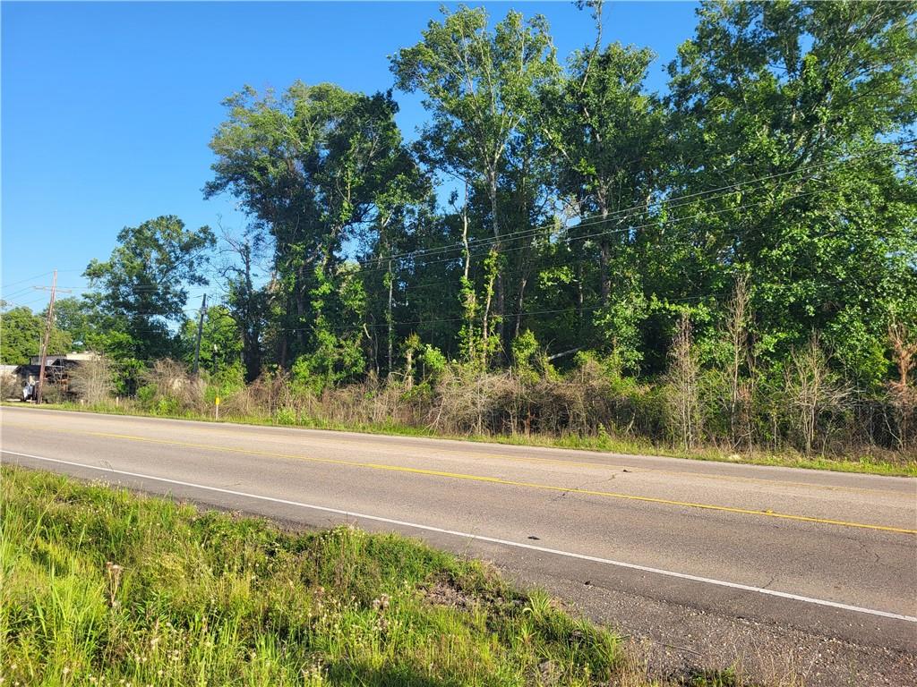 9.88 Acres E Highway 190 Highway, Hammond, Louisiana image 2