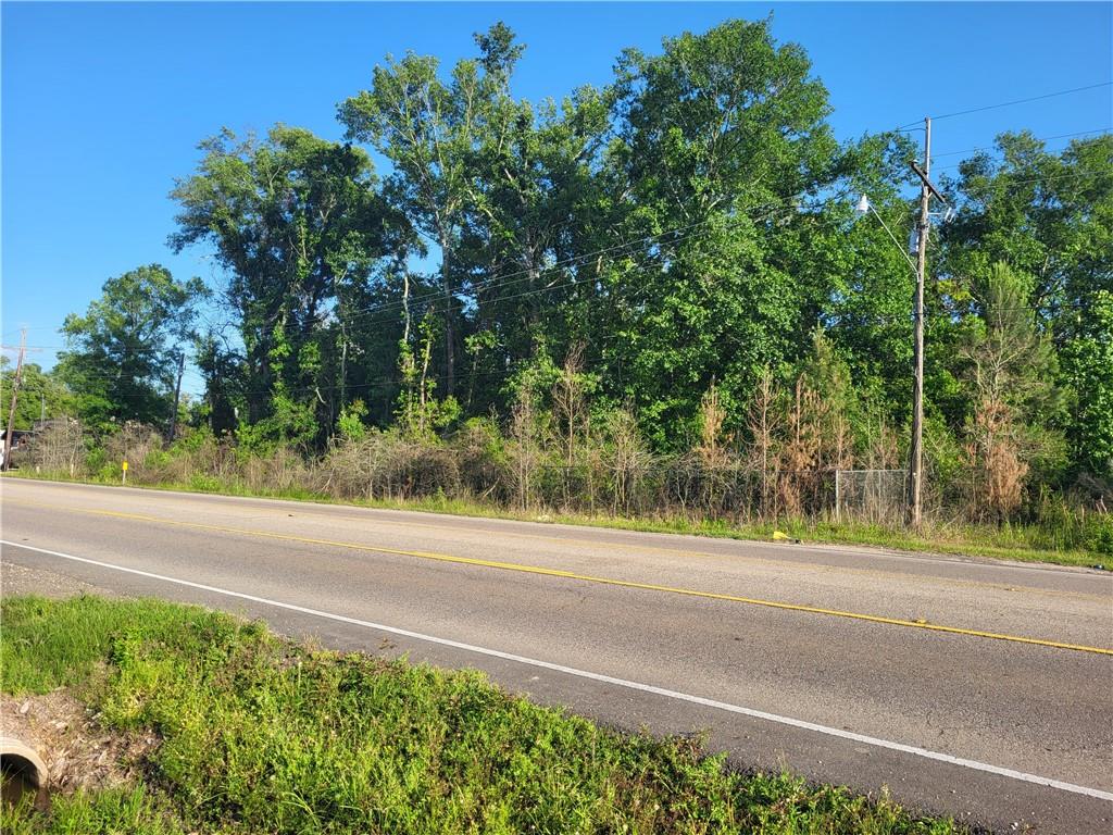9.88 Acres E Highway 190 Highway, Hammond, Louisiana image 3